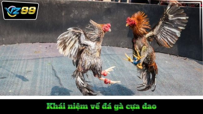 da ga cua dao philippines 2