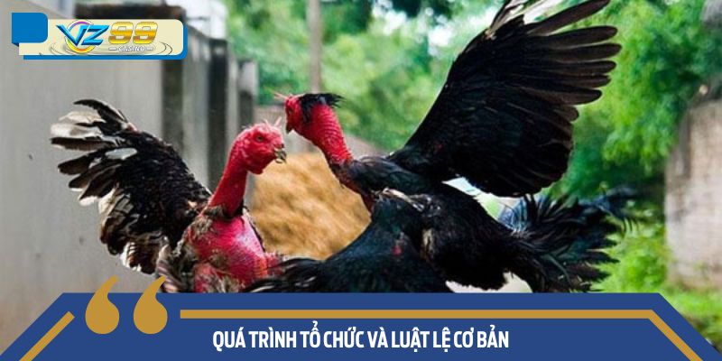 Quá trình tổ chức và luật lệ cơ bản