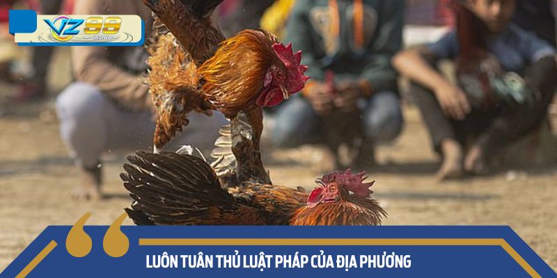Luôn tuân thủ luật pháp của địa phương